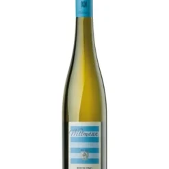 Weingut Wittmann Riesling Trocken DE-ÖKO-022* Rheinhessen 2021 Wein Weisswein 1 X 0.75 L