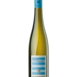 Weingut Wittmann Grauer Burgunder Trocken DE-ÖKO-022* Rheinhessen 2021 Wein Weisswein 1 X 0.75 L