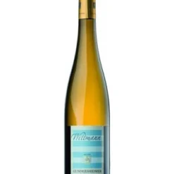 Weingut Wittmann Gundersheimer Riesling Trocken DE-ÖKO-022* Rheinhessen 2019 Wein Weisswein 1 X 0.75 L